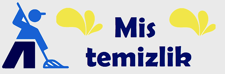 Mis Temizlik Hizmetleri 